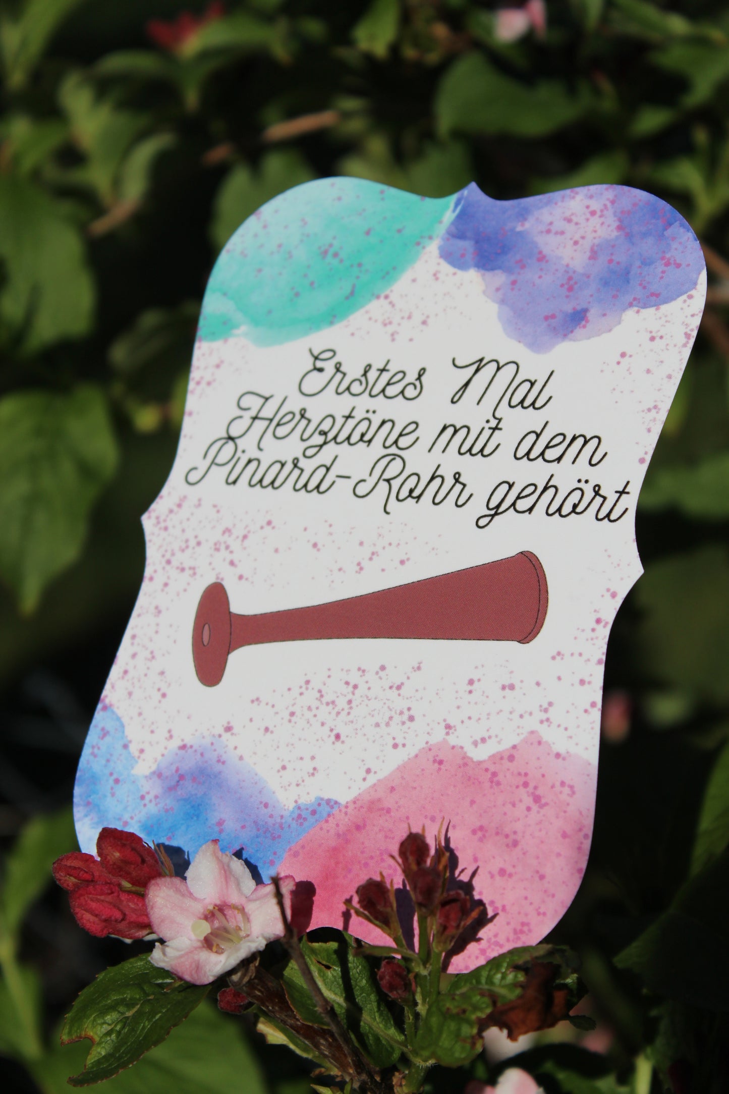 Meilensteinkarten für werdende Hebammen
